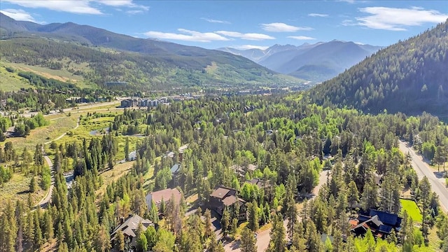 73 Last Chance Ln, Dillon, CO 80435 - photo 4