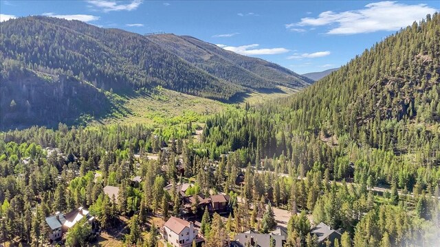 73 Last Chance Ln, Dillon, CO 80435 - photo 43