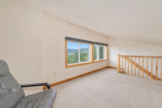 23015 Schussmark Trl Unit C, Oak Creek, CO 80467 - unfurnished room with carpet and an upstairs landing