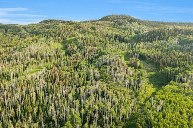 23015 Schussmark Trl Unit C, Oak Creek, CO 80467 - mountain view with a heavily wooded area