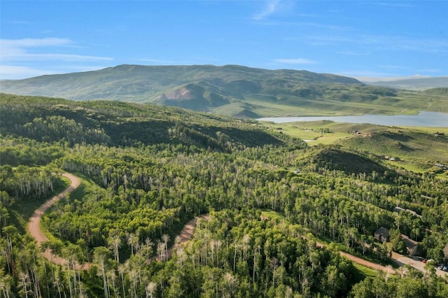 23015 Schussmark Trl Unit C, Oak Creek, CO 80467 - view of mountain backdrop with a heavily wooded area and a large body of water