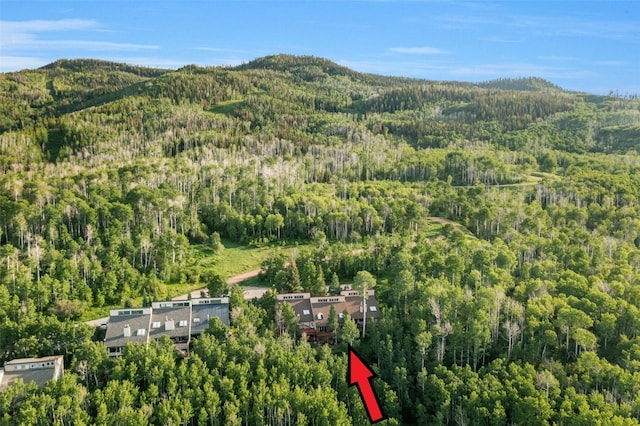 23015 Schussmark Trl Unit C, Oak Creek, CO 80467 - aerial view of property's location with a heavily wooded area and a mountain backdrop