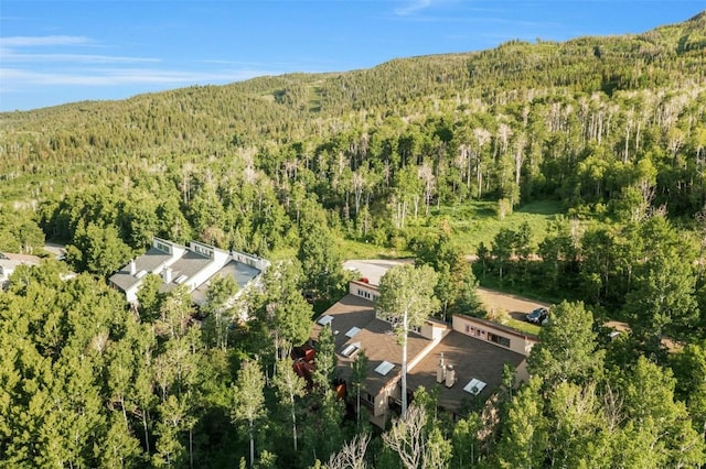 23015 Schussmark Trl Unit C, Oak Creek, CO 80467 - photo 33