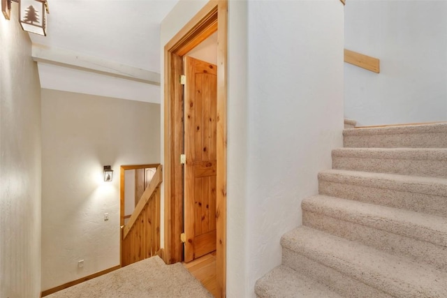 23015 Schussmark Trl Unit C, Oak Creek, CO 80467 - stairs featuring baseboards