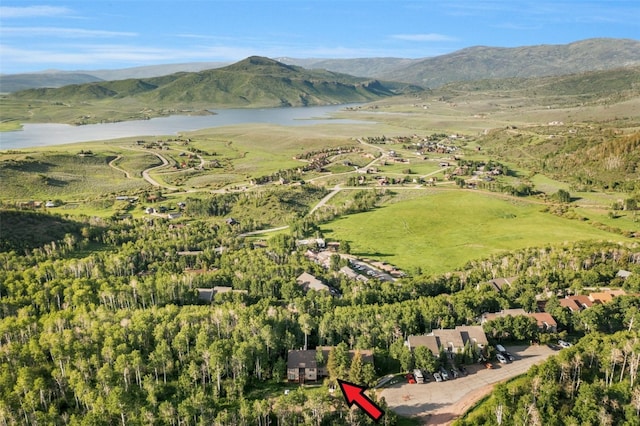 23015 Schussmark Trl Unit C, Oak Creek, CO 80467 - aerial view of property's location with a water and mountain view