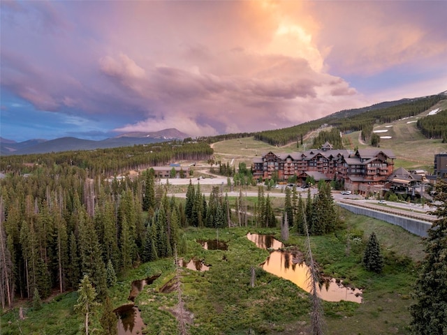 1521 Ski Hill Rd Unit 8313, Breckenridge, CO 80424 - view of mountain backdrop