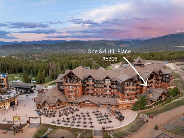 1521 Ski Hill Rd Unit 8313, Breckenridge, CO 80424 - bird's eye view of a mountainous background