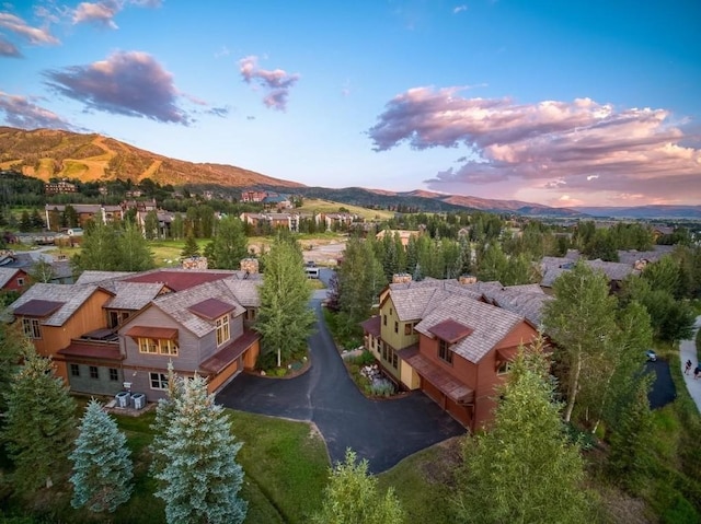 2081 Indian Summer Dr Unit 2081, Steamboat Springs, CO 80487 - photo 4