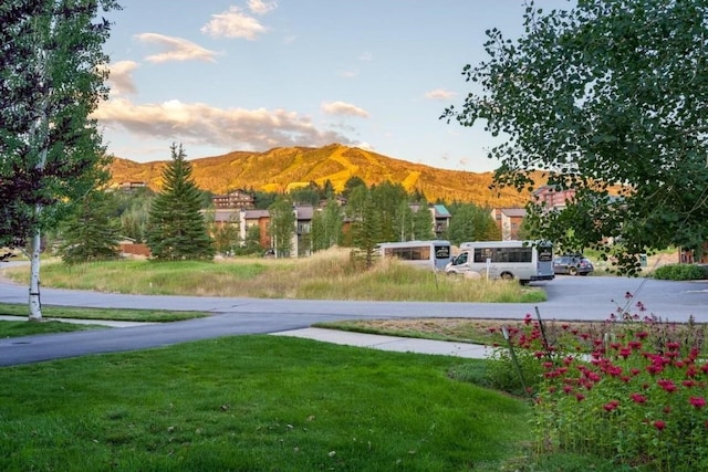 2081 Indian Summer Dr Unit 2081, Steamboat Springs, CO 80487 - photo 3