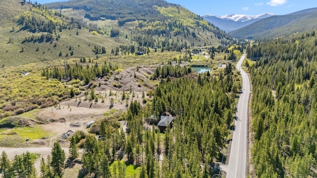 2383 Tiger Rd, Breckenridge, CO 80424 - photo 5