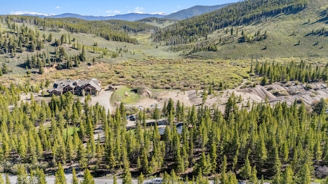 2383 Tiger Rd, Breckenridge, CO 80424 - photo 40