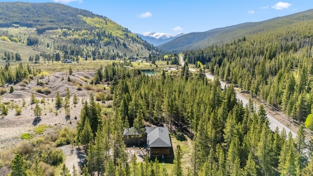 2383 Tiger Rd, Breckenridge, CO 80424 - photo 42