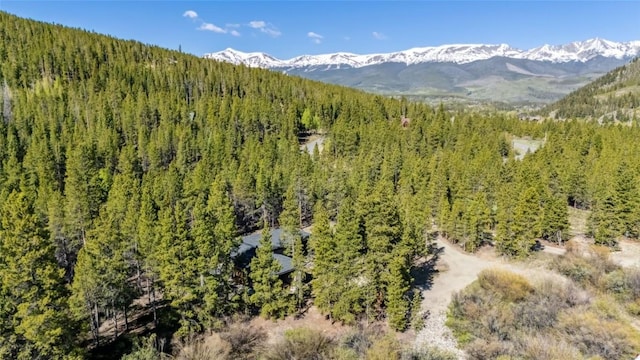 2383 Tiger Rd, Breckenridge, CO 80424 - photo 28