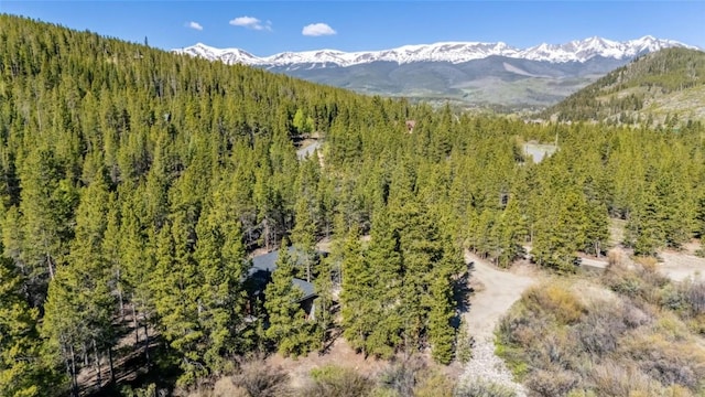 2383 Tiger Rd, Breckenridge, CO 80424 - photo 43