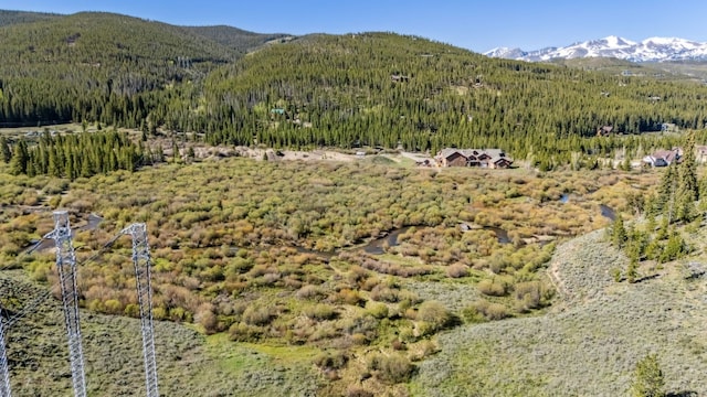 2383 Tiger Rd, Breckenridge, CO 80424 - photo 27