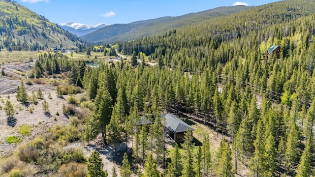 2383 Tiger Rd, Breckenridge, CO 80424 - photo 26