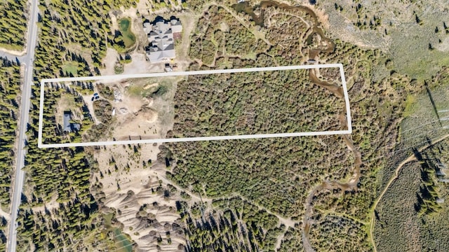 2383 Tiger Rd, Breckenridge, CO 80424 - photo 6