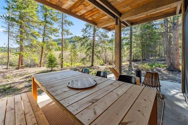 2383 Tiger Rd, Breckenridge, CO 80424 - photo 4