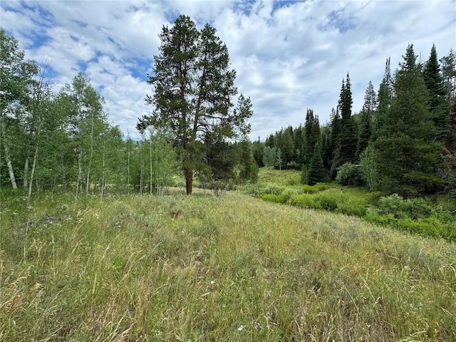 32518 Ute Trl, Oak Creek, CO 80467