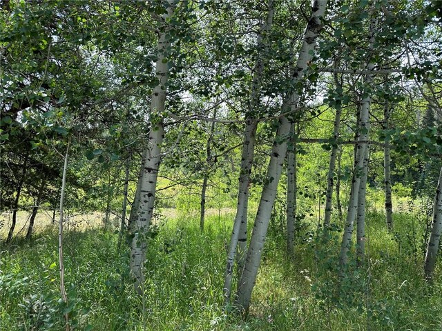 32518 Ute Trl, Oak Creek, CO 80467