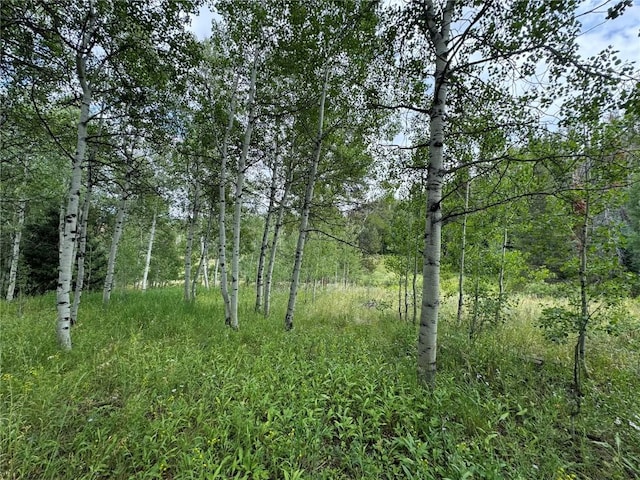 32518 Ute Trl, Oak Creek, CO 80467