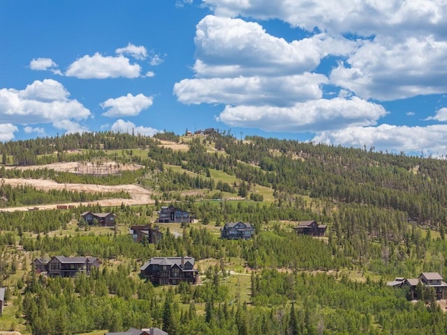 818 Lower Ranch View Rd, Granby, CO 80446 - drone / aerial view of a forest