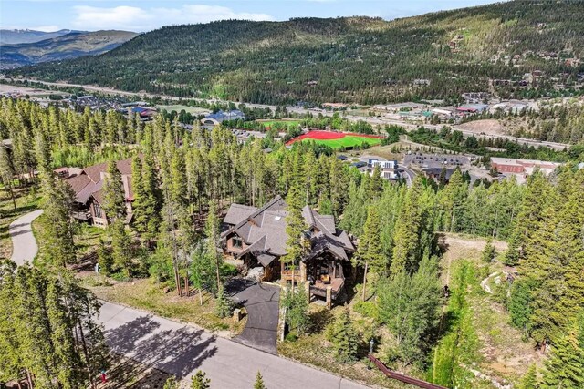 282 Peerless Dr, Breckenridge, CO 80424 - photo 49