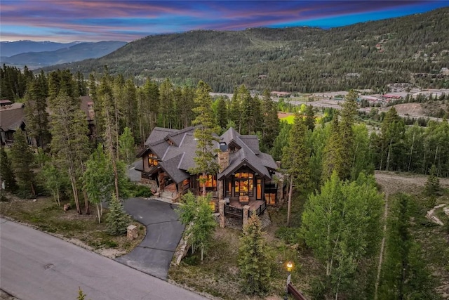282 Peerless Dr, Breckenridge, CO 80424 - photo 50
