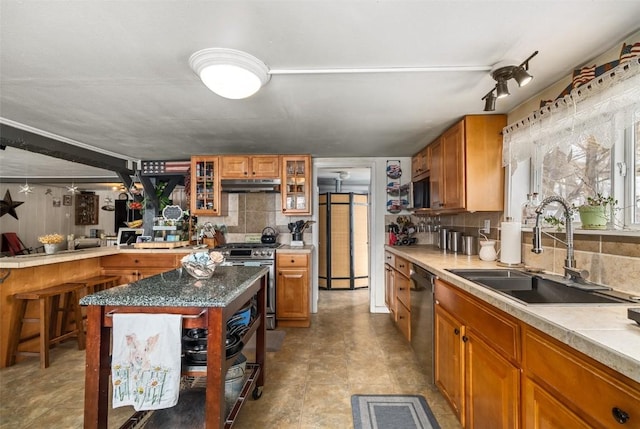 kitchen with appliances with stainless steel finishes, brown cabinets, a sink, and under cabinet range hood