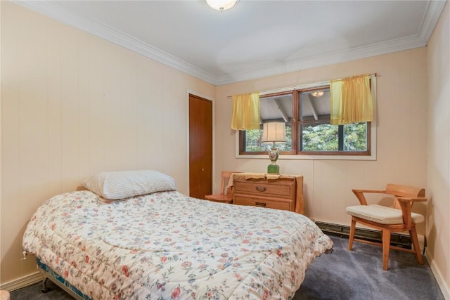 212 Briar Rose Ln, Breckenridge, CO 80424 - carpeted bedroom with ornamental molding, baseboards, and a closet