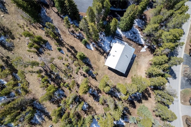 212 Briar Rose Ln, Breckenridge, CO 80424 - view of subject property