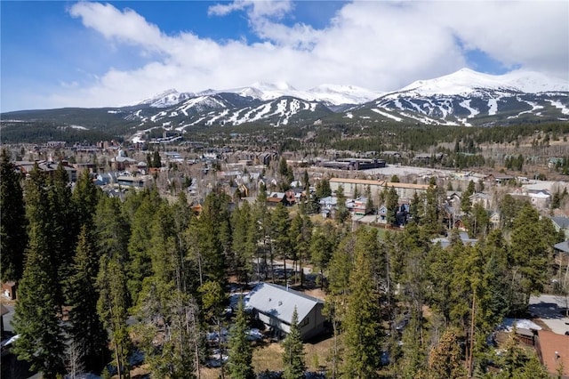 212 Briar Rose Ln, Breckenridge, CO 80424 - view of mountain background featuring nearby suburban area