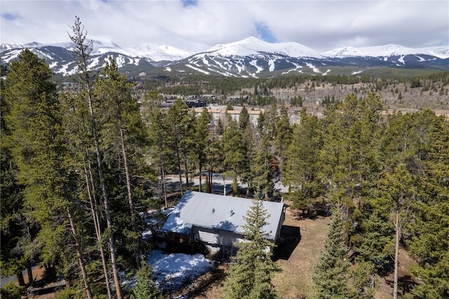 212 Briar Rose Ln, Breckenridge, CO 80424 - mountain view featuring a forest