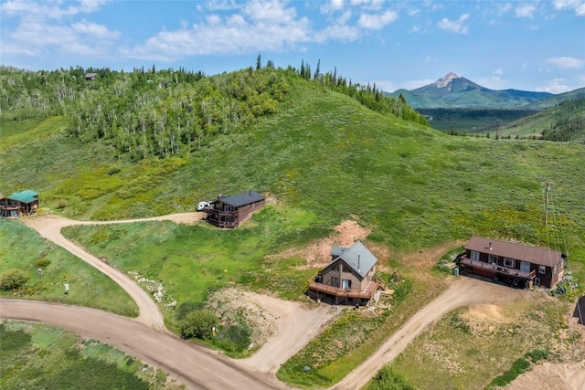 27100 Neptune Pl, Clark, CO 80428 - view of subject property with mountains