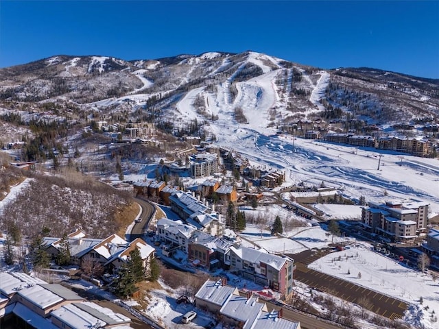 1855 Burgess Creek Rd Unit 6, Steamboat Springs, CO 80487 - photo 5