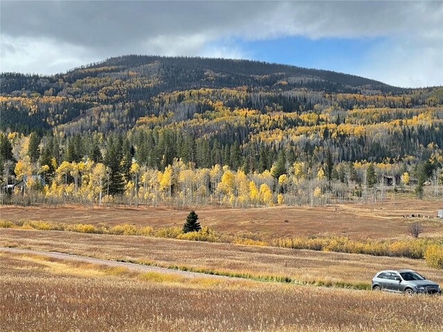 22647 Comanche Rd, Oak Creek, CO 80467 - photo 5