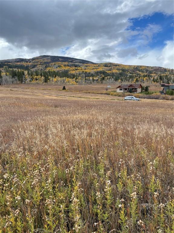 22647 Comanche Rd, Oak Creek, CO 80467 - photo 6