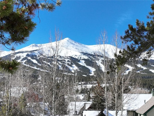 102 S High St, Breckenridge, CO 80424 - view of mountain backdrop