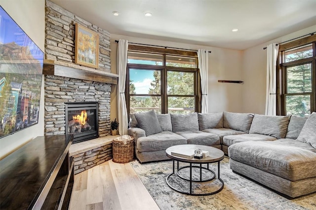 living room featuring a fireplace and wood finished floors