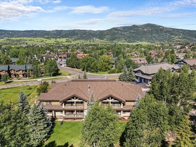 3370 Columbine Dr Unit 104, Steamboat Springs, CO 80487 - photo 29