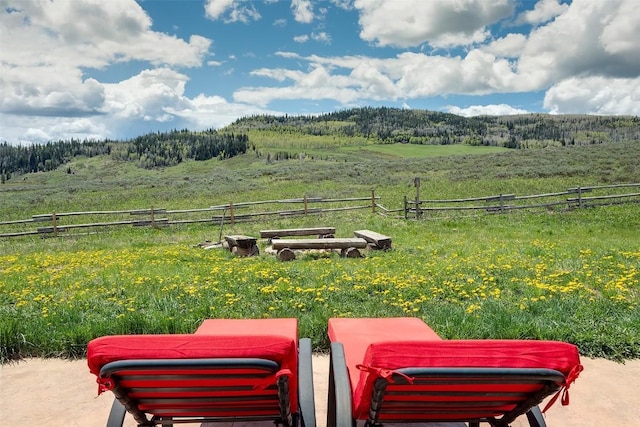 26755 Aspen Ct, Clark, CO 80428 - view of yard featuring a view of rural / pastoral area and a forest view