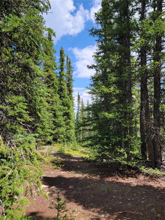 475 Prunes Pl, Fairplay, CO 80440 - photo 7