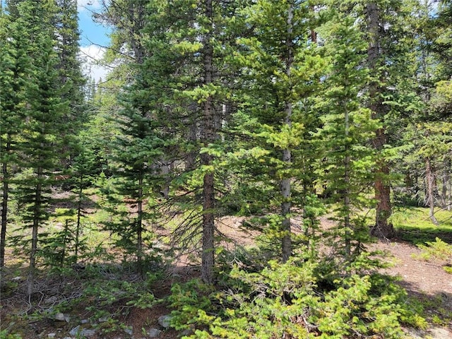 475 Prunes Pl, Fairplay, CO 80440 - photo 21