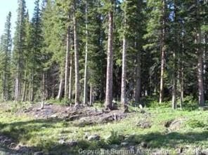 475 Prunes Pl, Fairplay, CO 80440 - photo 1