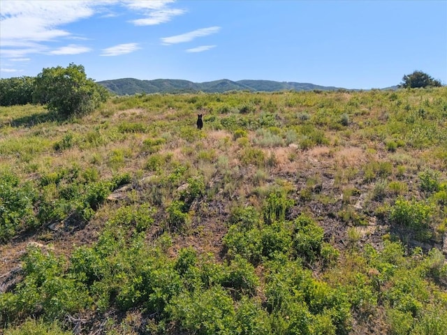 32095 Judges Viewpoint, Oak Creek, CO 80467