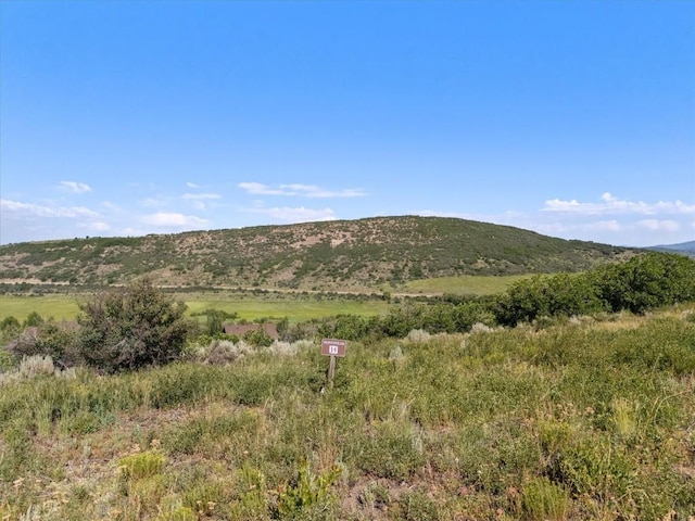 32095 Judges Viewpoint, Oak Creek, CO 80467