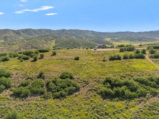 32095 Judges Viewpoint, Oak Creek, CO 80467