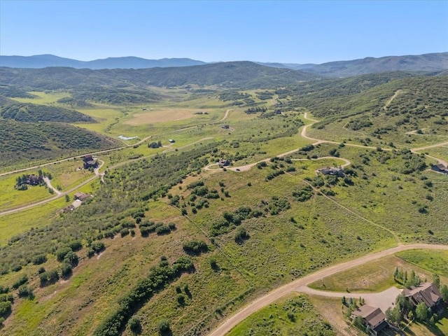 32095 Judges Viewpoint, Oak Creek, CO 80467