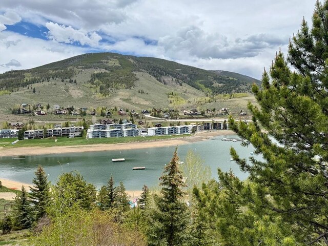 220 E Ln Bonte St Unit 317, Dillon, CO 80435 - photo 41