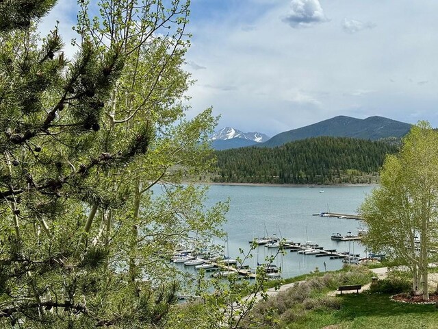 220 E Ln Bonte St Unit 317, Dillon, CO 80435 - photo 44